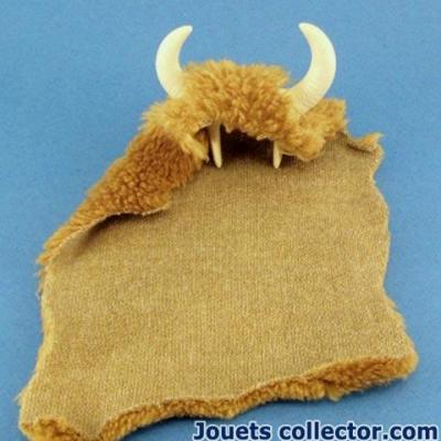 Bison skin and Horns